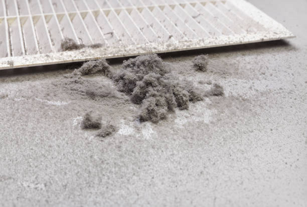 Best HVAC System Cleaning  in Paramount, CA
