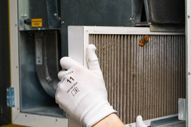 Best Professional Duct Cleaning Services  in Paramount, CA