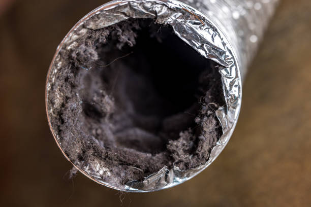 Best Affordable HVAC Duct Cleaning  in Paramount, CA